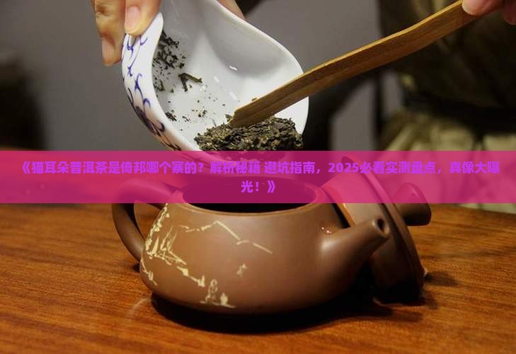 猫耳朵普洱茶是倚邦哪个寨的