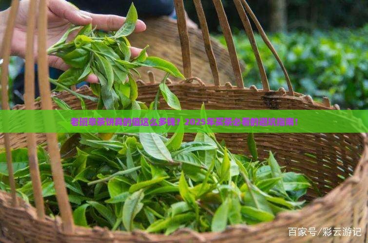布朗山老班章茶饼价格