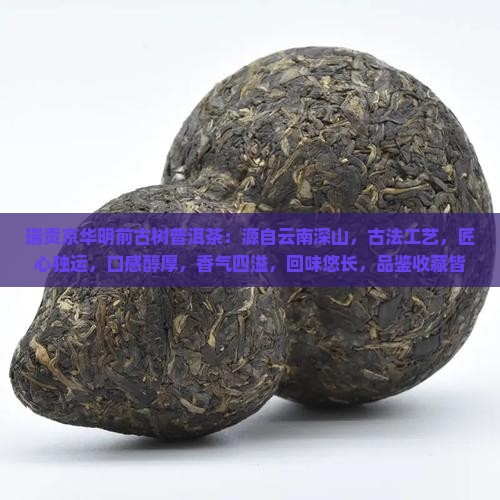 瑞贡京华明前古树普洱茶