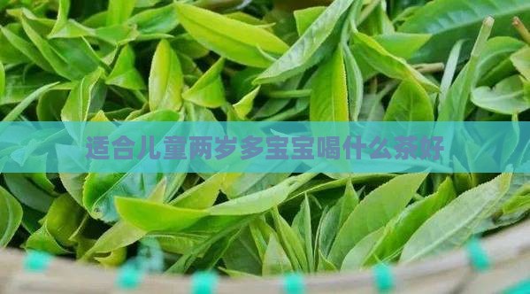 两岁多宝宝喝什么茶好