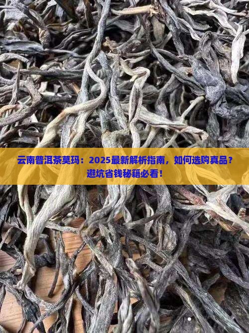 云南普洱茶莫玛