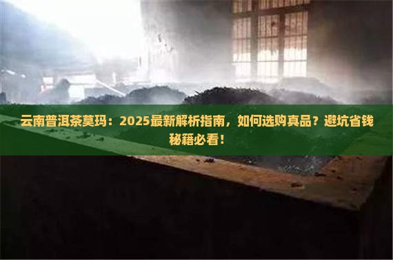 云南普洱茶莫玛
