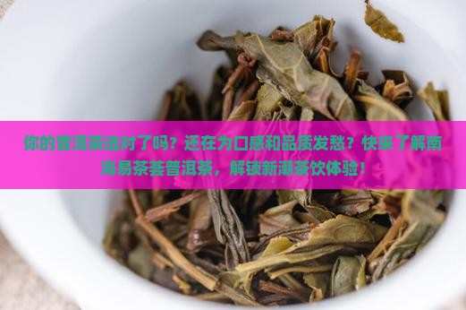 南海易茶荟普洱茶