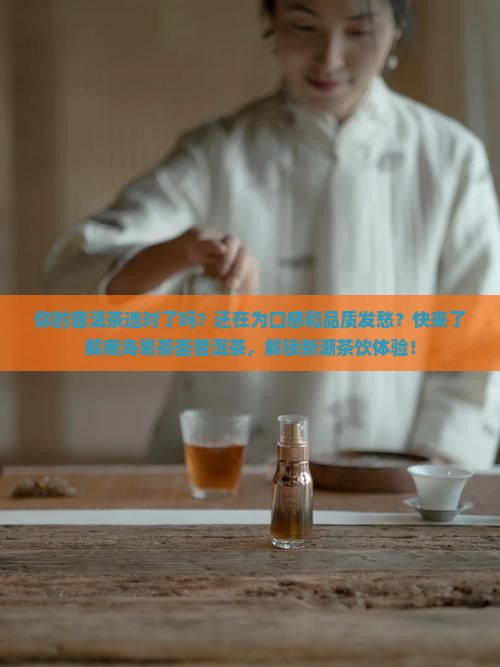 南海易茶荟普洱茶