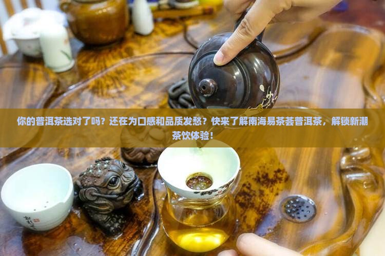 南海易茶荟普洱茶