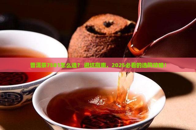 普洱茶7581买什么品牌