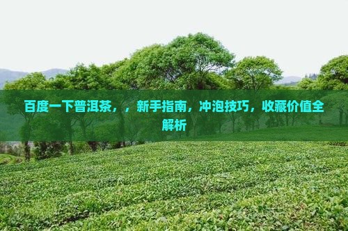 百度一下普洱茶