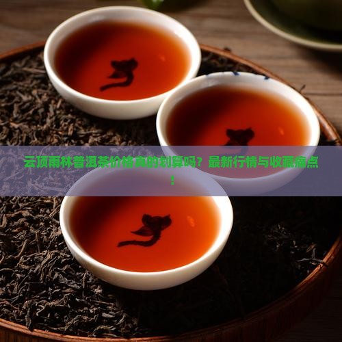云顶雨林普洱茶价格一览表
