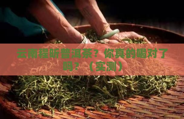 云南程昕普洱茶