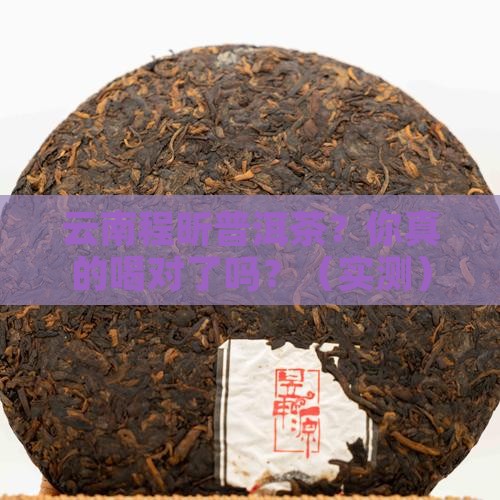 云南程昕普洱茶