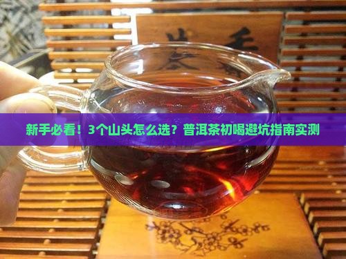 初喝普洱茶的选择哪个山 初喝普洱茶的选择哪个山