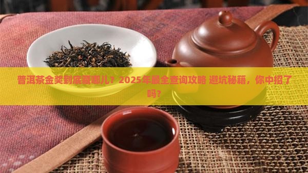 普洱茶金奖查询