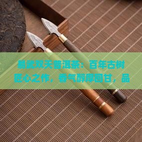 易武双天普洱茶