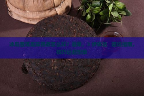 冰岛普洱龙珠熟茶怎么样