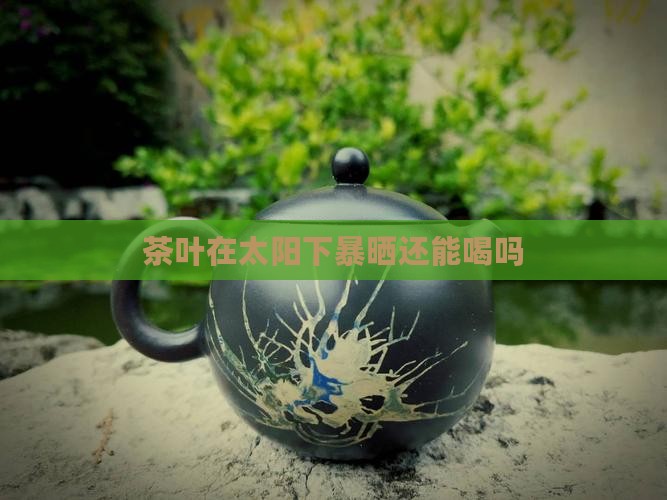 茶叶在太阳下暴晒还能喝吗
