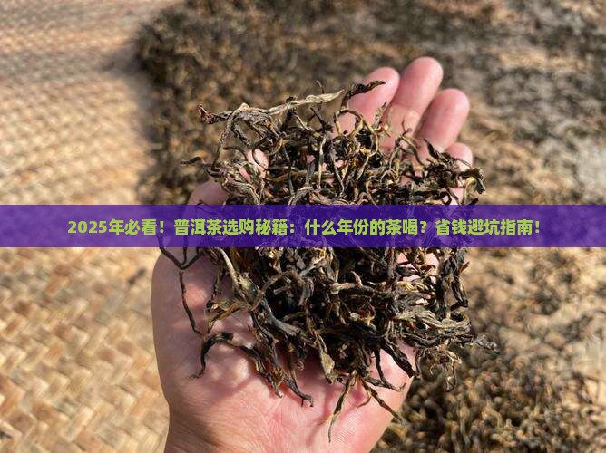 什么年份的普洱茶好