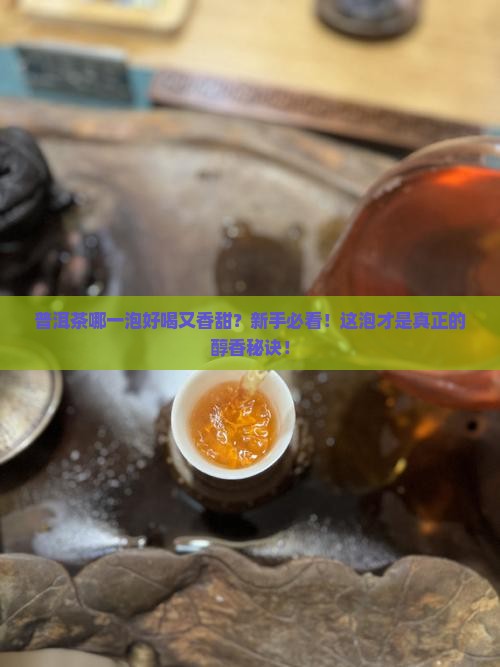 普洱茶哪一泡好喝又香甜