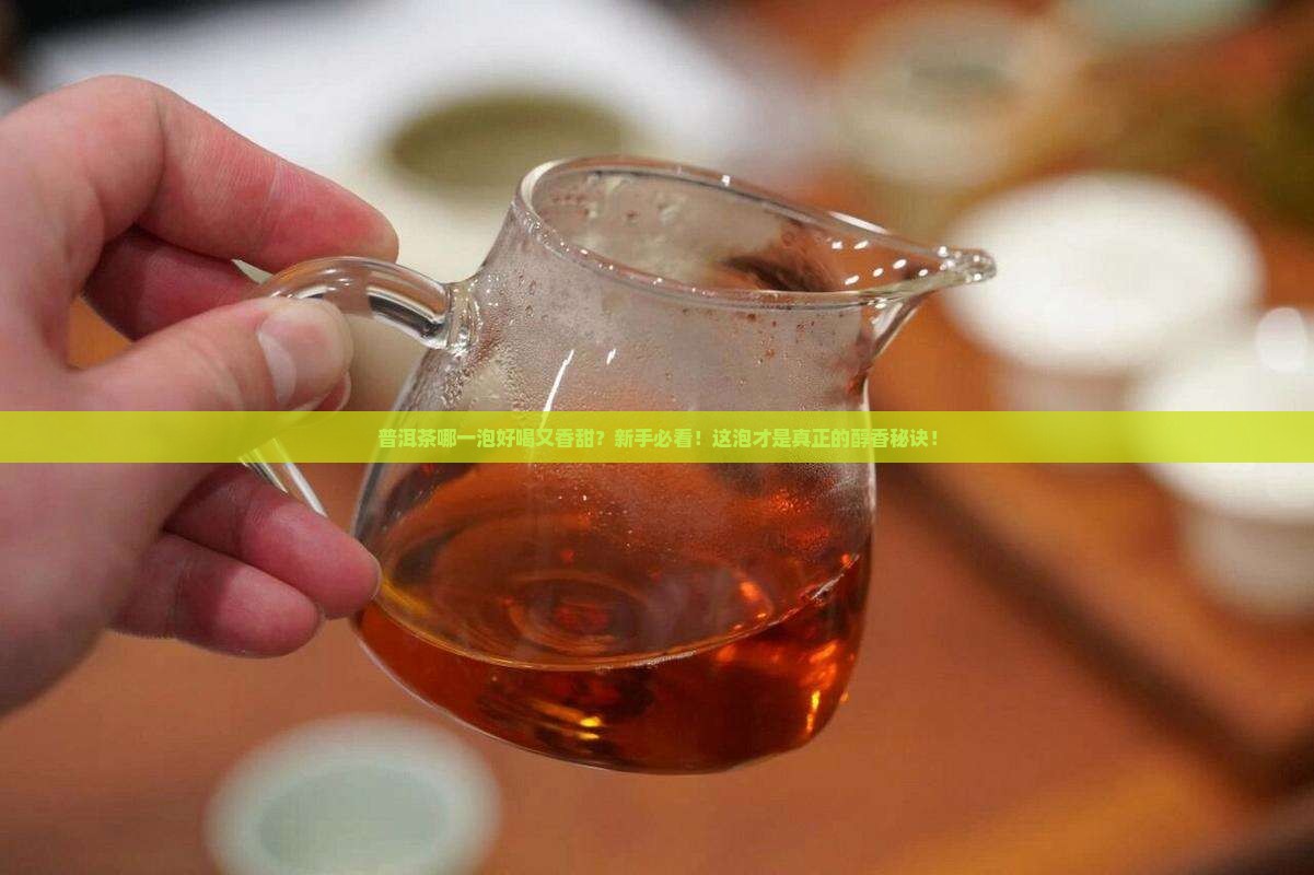 普洱茶哪一泡好喝又香甜