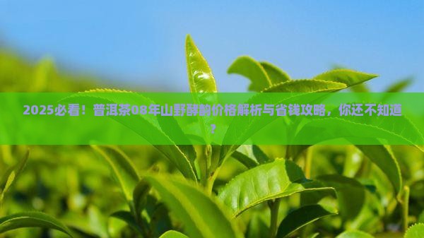 普洱茶08年山野酵韵价格
