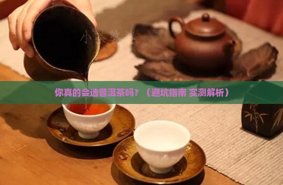 云南普洱茶甄选