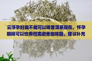 云浮可以喝普洱茶吗现在