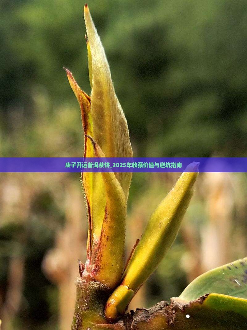 庚子开运普洱茶饼