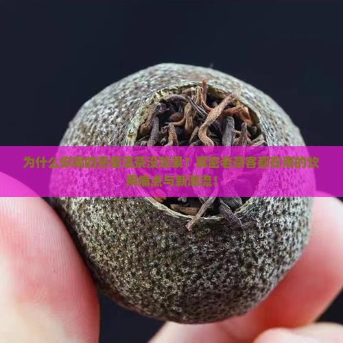 熟普洱茶的饮用