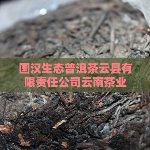 国汉生态普洱茶