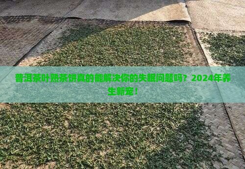 普洱茶叶熟茶饼