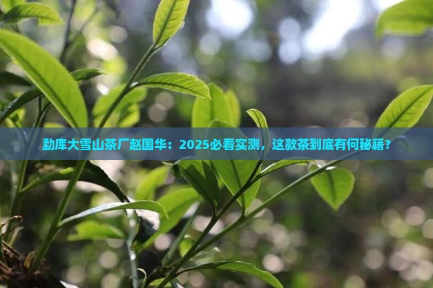 勐库大雪山茶厂赵国华