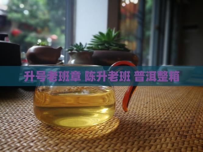 2020陈升号老班章整箱