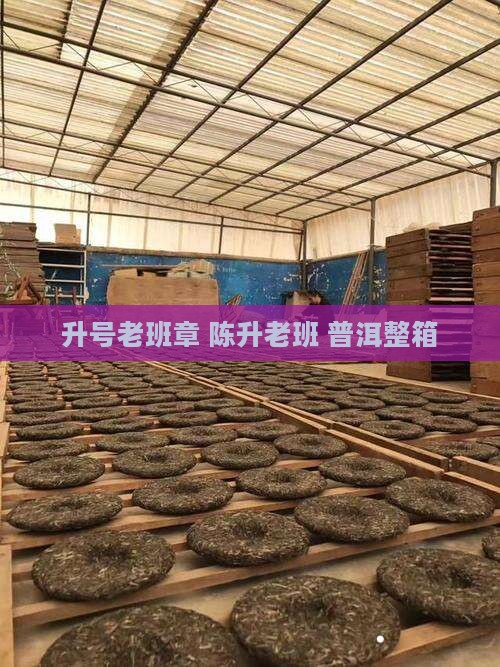 2020陈升号老班章整箱
