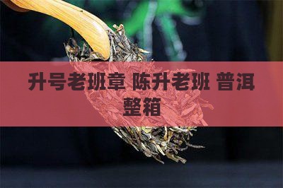 2020陈升号老班章整箱