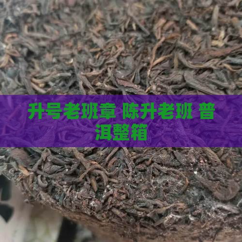 2020陈升号老班章整箱