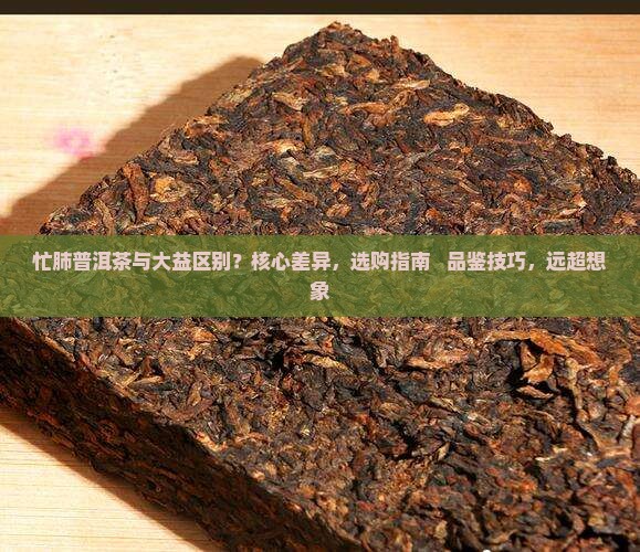 忙肺普洱茶与大益区别