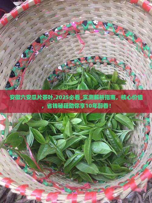安徽六安瓜片茶叶