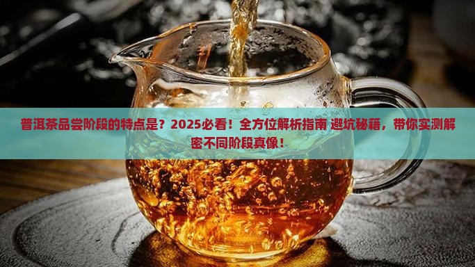 普洱茶品尝阶段的特点是