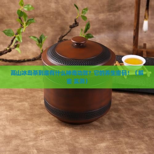 高山冰岛茶有什么功效
