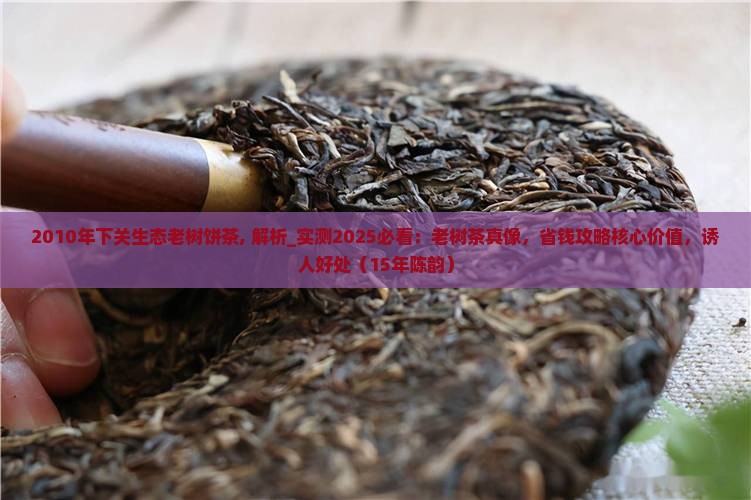 2010年下关生态老树饼茶