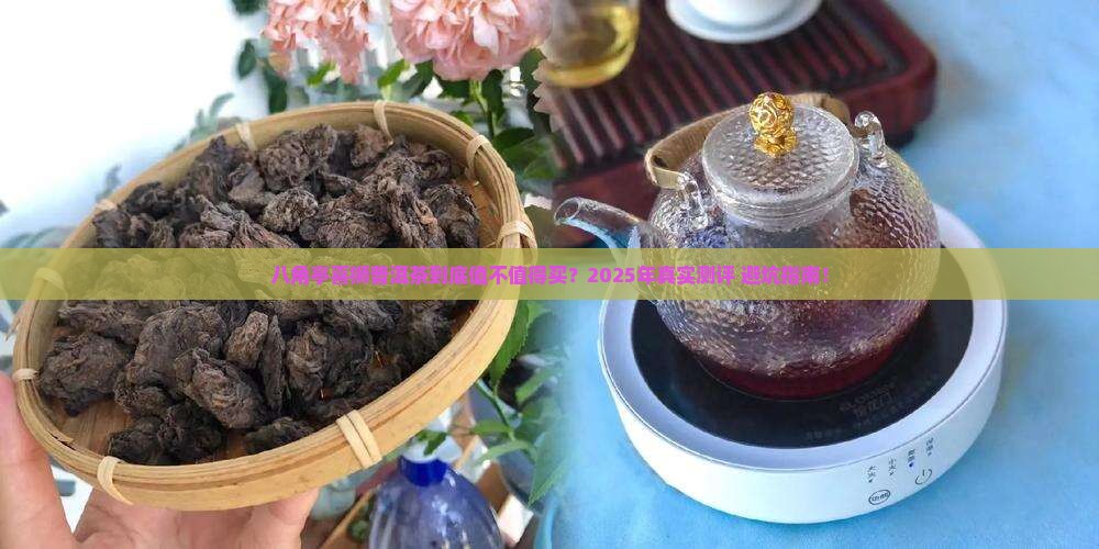八角亭喜狮普洱茶怎么样