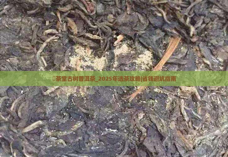 衎茶堂古树普洱茶