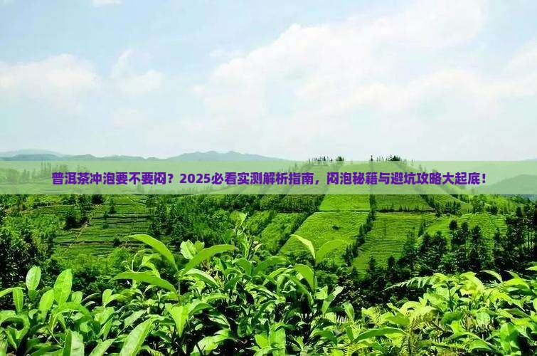 普洱茶的冲泡要不要闷