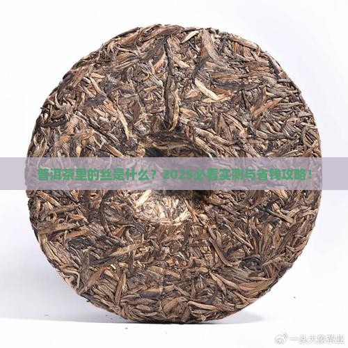普洱茶里面丝是什么意思