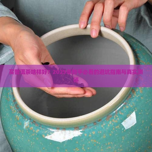 买普洱茶啥样好 买普洱茶啥样好