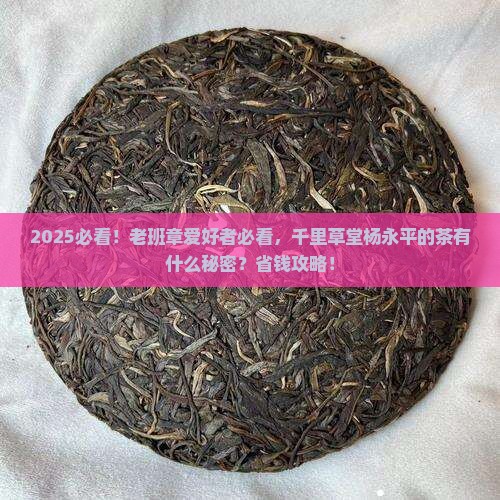 千里草堂杨永平老班章