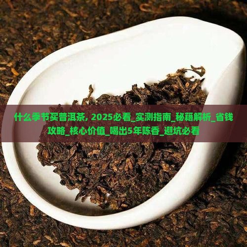 什么季节买普洱茶