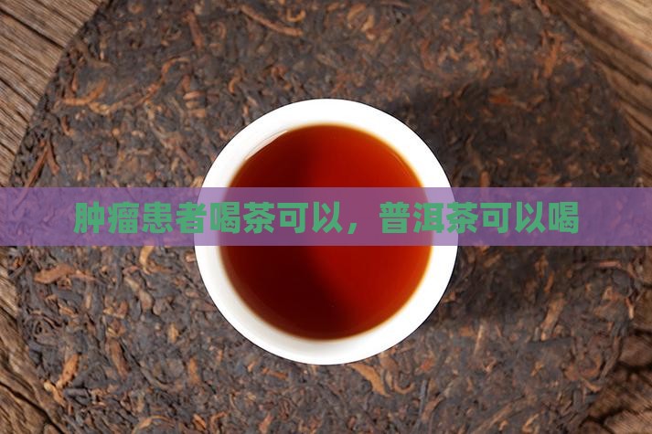 肿瘤能不能喝普洱茶