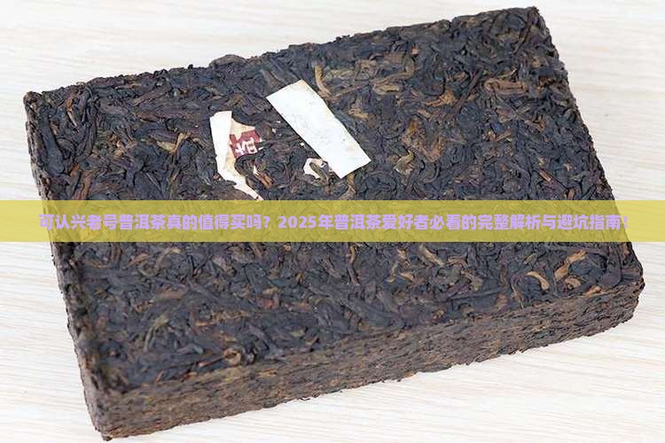 可认兴老号普洱茶