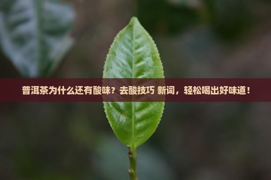 普洱茶如何去酸味