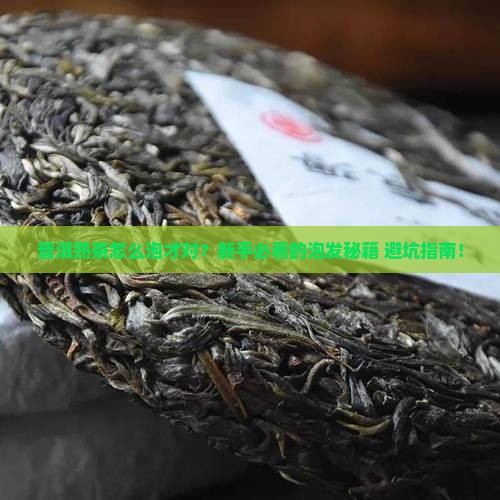 普洱熟茶的泡发
